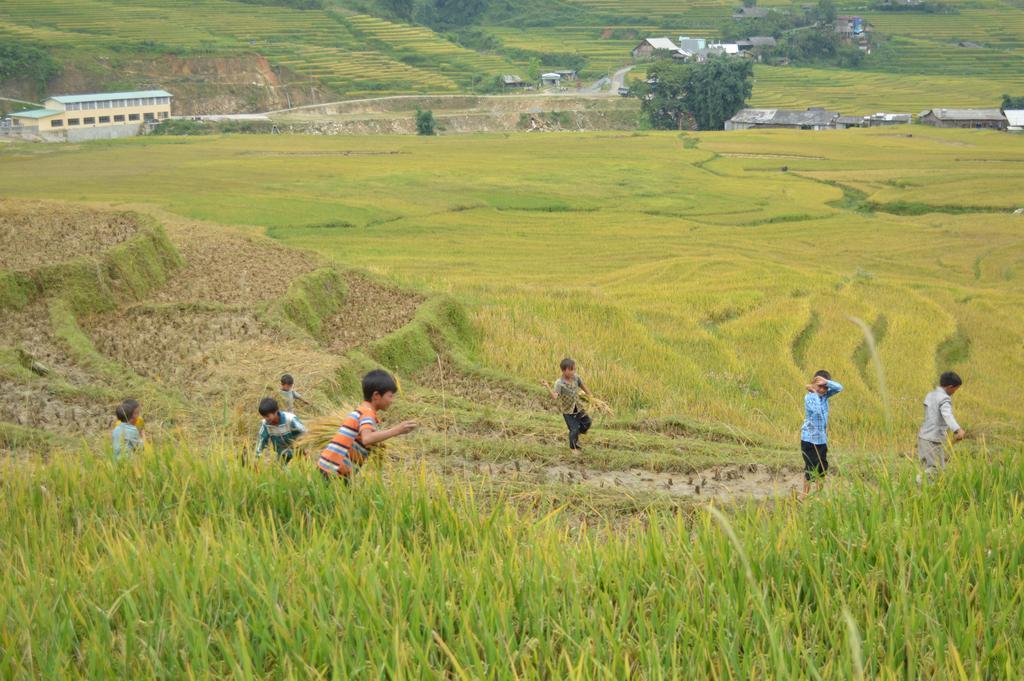 Cau May Homestay ซาปา ภายนอก รูปภาพ